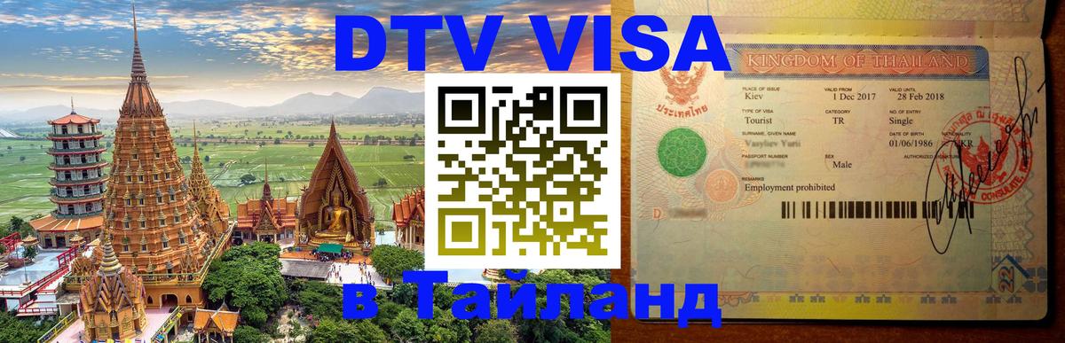 Сколько стоит DTV виза — актуальные цены, оформление даже без документов - 